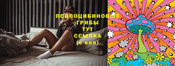 MDMA Лагань