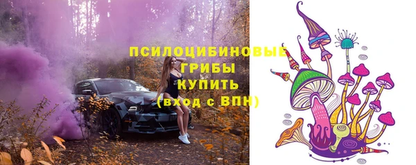 MDMA Лагань